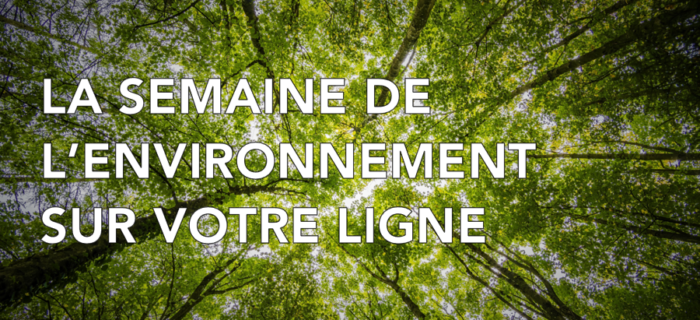 Texte "La semaine de l'environnement" écrit sur un fond avec des arbres
