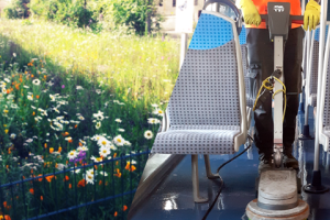 Aperçu d'une prairie fleurie et du nettoyage effectué à bord d'un train pour illustrer la semaine de l'environnement 2024 sur la ligne D.