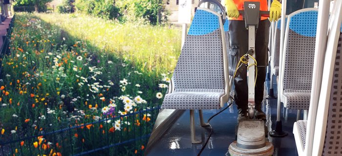 Aperçu d'une prairie fleurie et du nettoyage effectué à bord d'un train pour illustrer la semaine de l'environnement 2024 sur la ligne D.