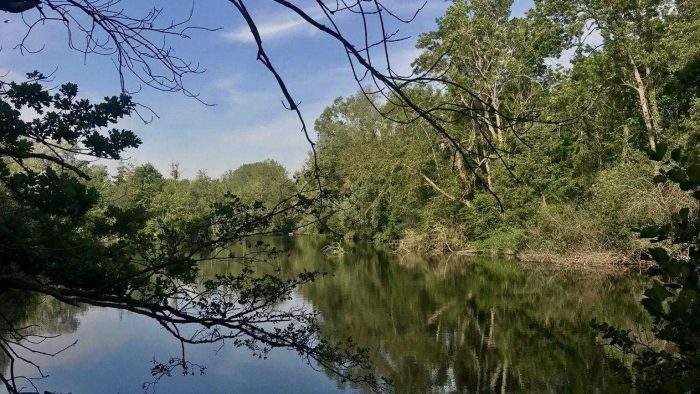 Pour illustrer ce volet #CPASLOINENTRAIN long de la Seine : petit détour avec une photo d'une balade nature entre Mennecy & Ballancourt.
