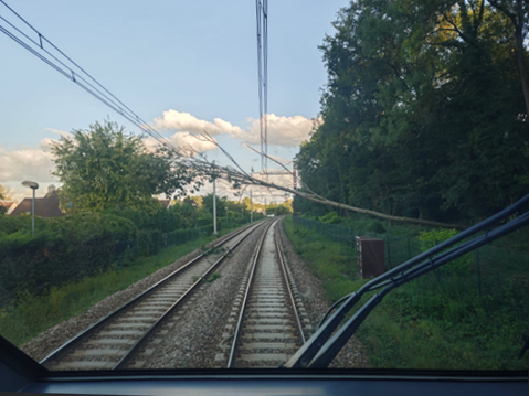 Photo de la vue depuis la cabine du train ROSA de l'arbre qui a chuté sur les installations électriques.