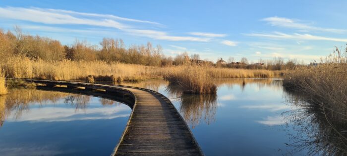 Photo de l'espace naturel de La Motte à Lieusaint pour illustrer le volet de #CESTPASLOINENTRAIN consacré aux parcs accessibles en RER D.